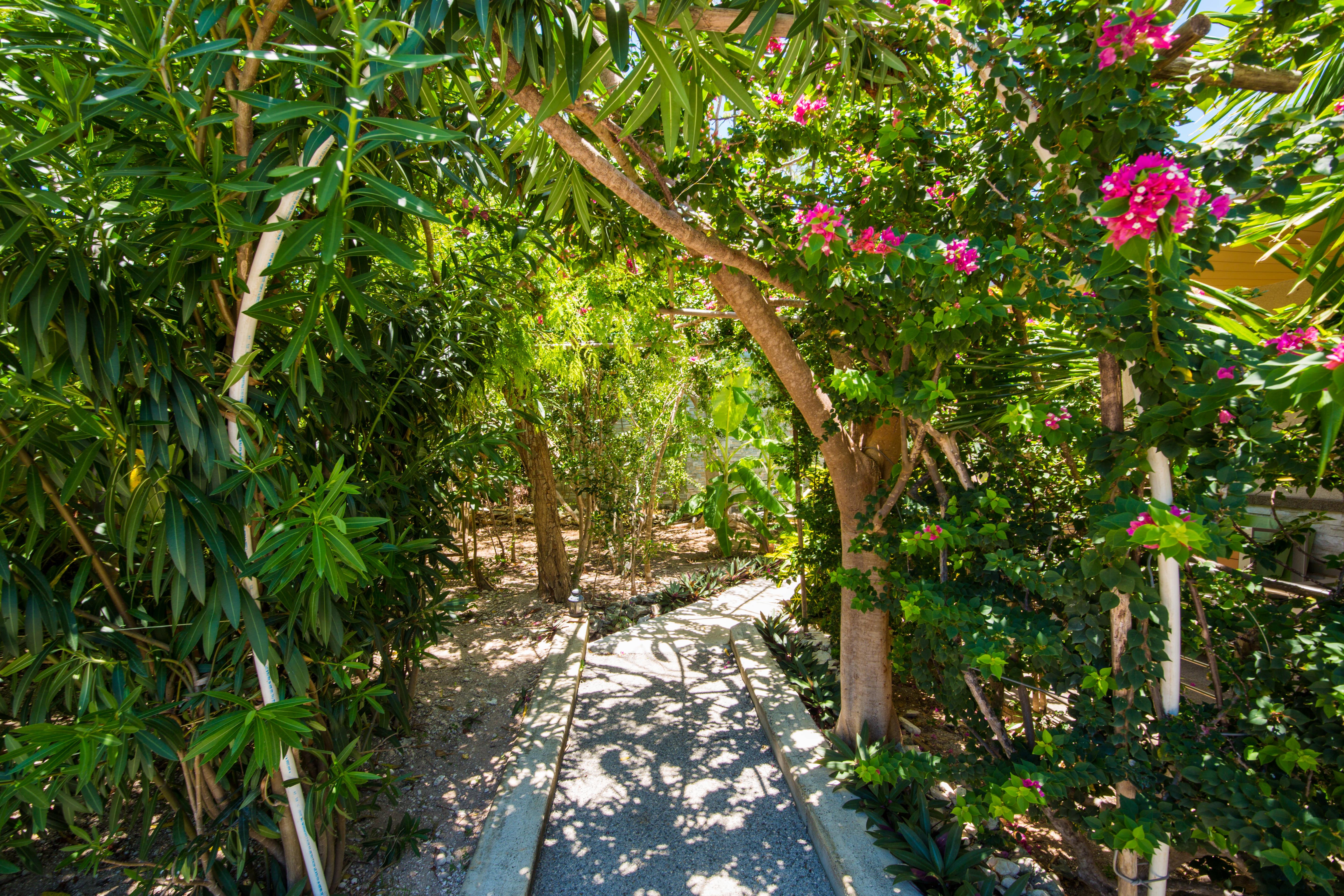 One On Marlin Resort (Adults Only) Turtle Cove Ngoại thất bức ảnh