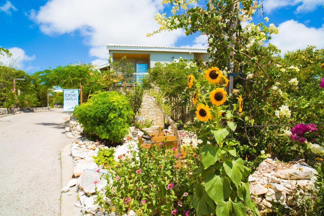 One On Marlin Resort (Adults Only) Turtle Cove Ngoại thất bức ảnh